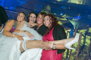 la_festa